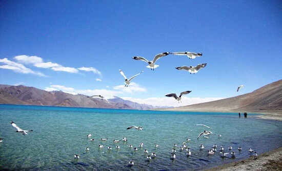 Pangong Lake Tour Package