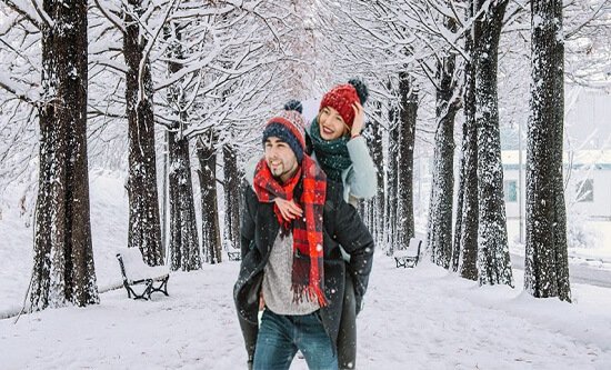 Complete Himachal Honeymoon With Amritsar 9 Nights 10 Days