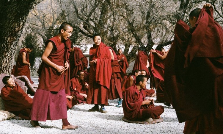 Himachal Culture Tour