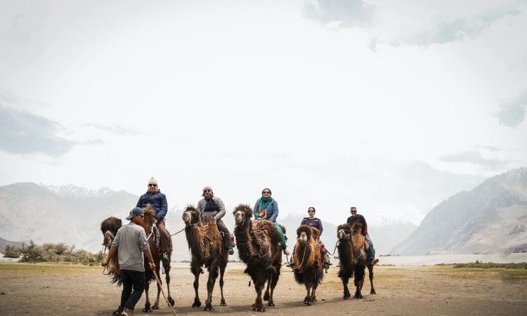 Himachal Online Tour Booking