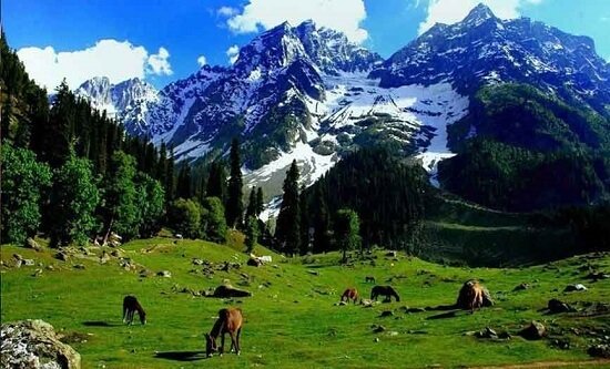 Kashmir Tour Booking