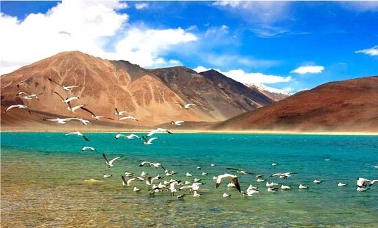 Leh Ladakh Tour Booking